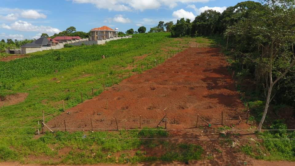 Wakiso Namasanga III — Affordable Land for Sale at Reliance Real Estates Ltd