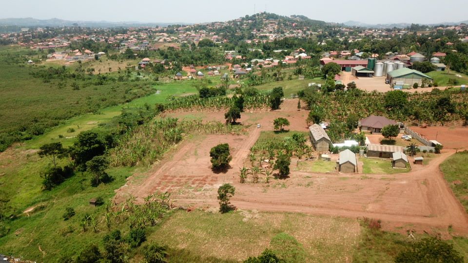 Buloba Kasero Estate — Affordable Land for Sale at Reliance Real Estates Ltd