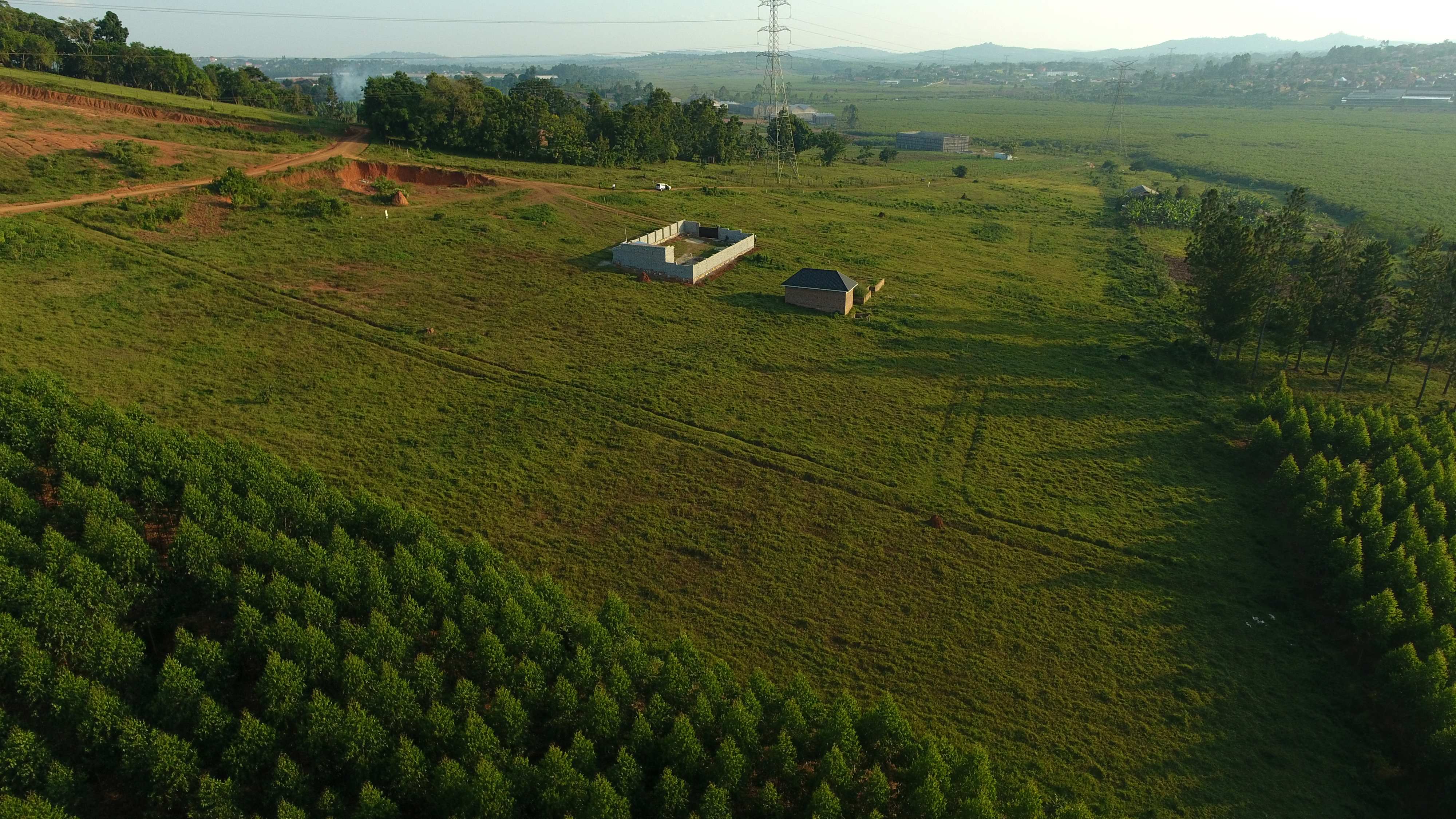 Buloba Nagenda Estate — Affordable Plot for Sale at Reliance Real Estates Ltd