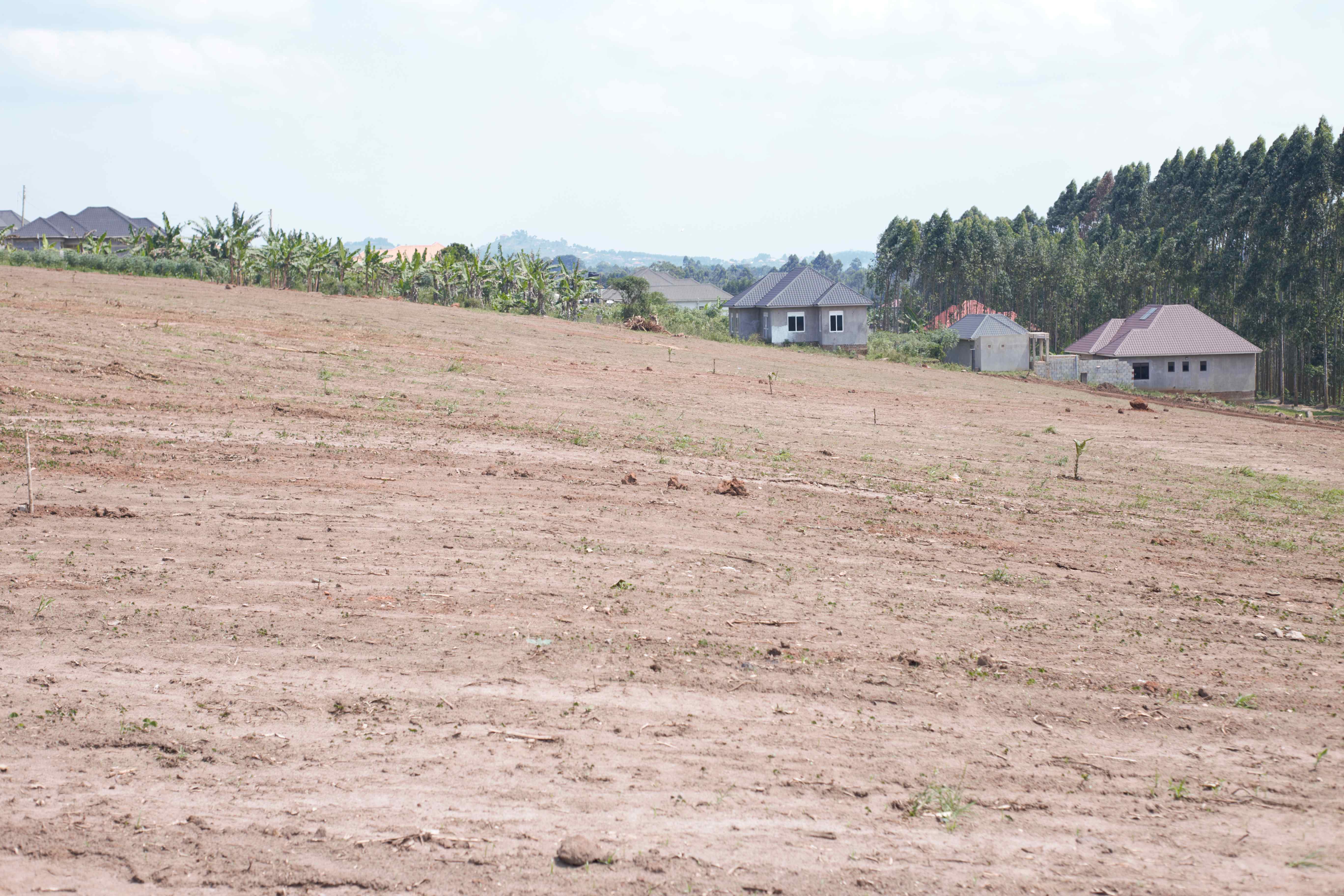 Buyala Estate — Affordable Plot for Sale at Reliance Real Estates Ltd