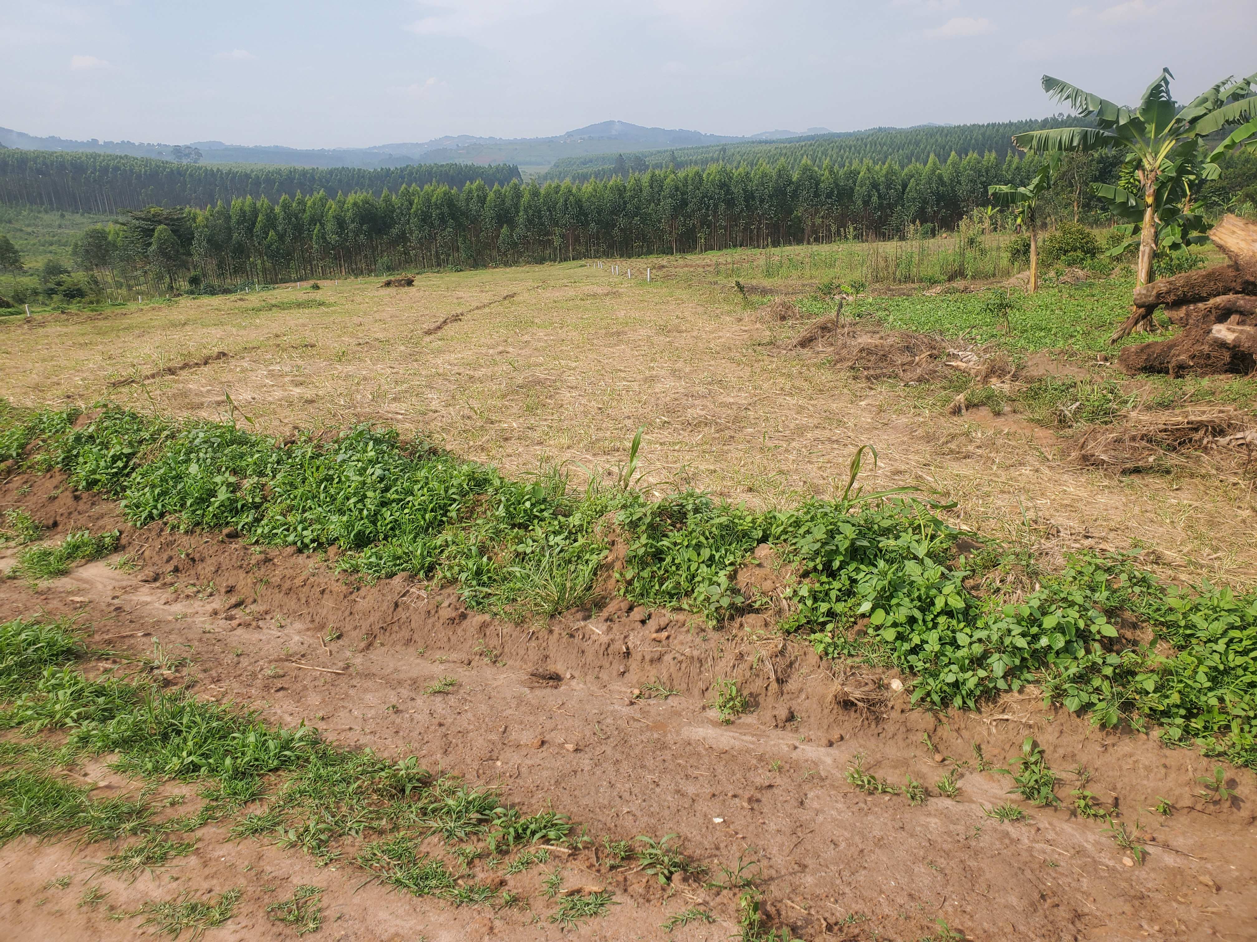 Bujjuko Estate — Affordable Plot for Sale at Reliance Real Estates Ltd