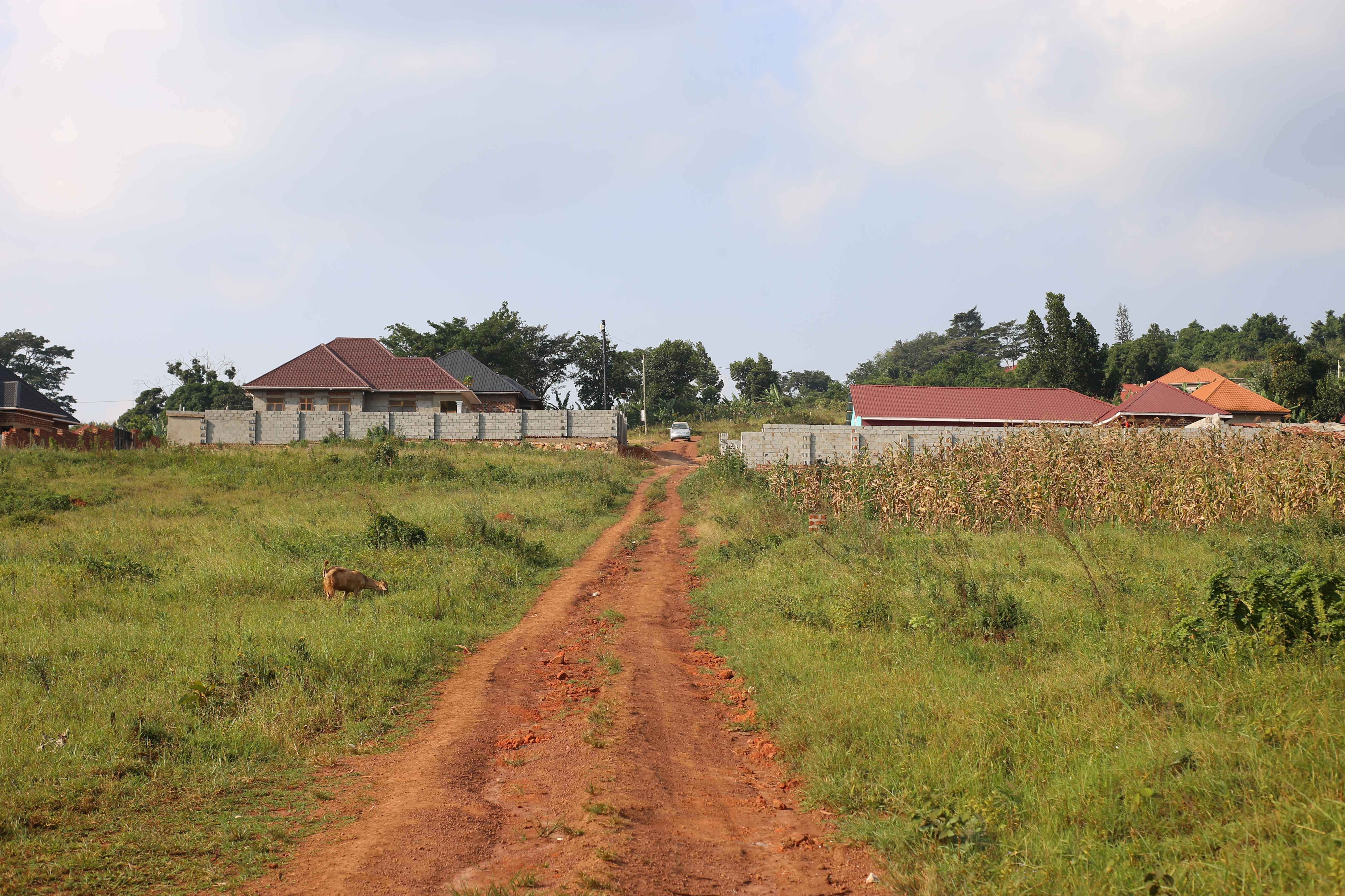 Nakirebe Estate — Affordable Plot for Sale at Reliance Real Estates Ltd